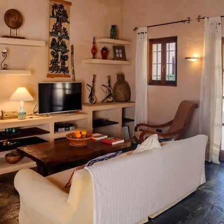 Olivo - 6 Pax En Ibiza *